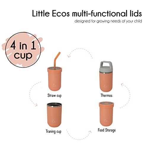 LITTLE ECOS Toddler straw cups spill proof | Set of 2 Stainless steel Baby straw sippy cups for toddlers 2+ 3+ year old | Insulated Kids cup tumblers | Best training cups for toddlers 1-3