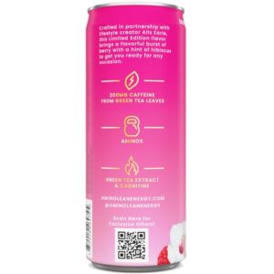 RSP NUTRITION AminoLean Berry Alixir Energy Drink - Sugar Free Amino Energy with No Jitters, Tingles, or Crash, Vegan Amino Acids 12 Pack