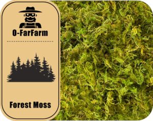 o-farfarm dried forest moss for plants 5.3oz / 3qt, green orchid sphagnum moss, long fibered dried moss for succulents garden flowers pot and reptiles