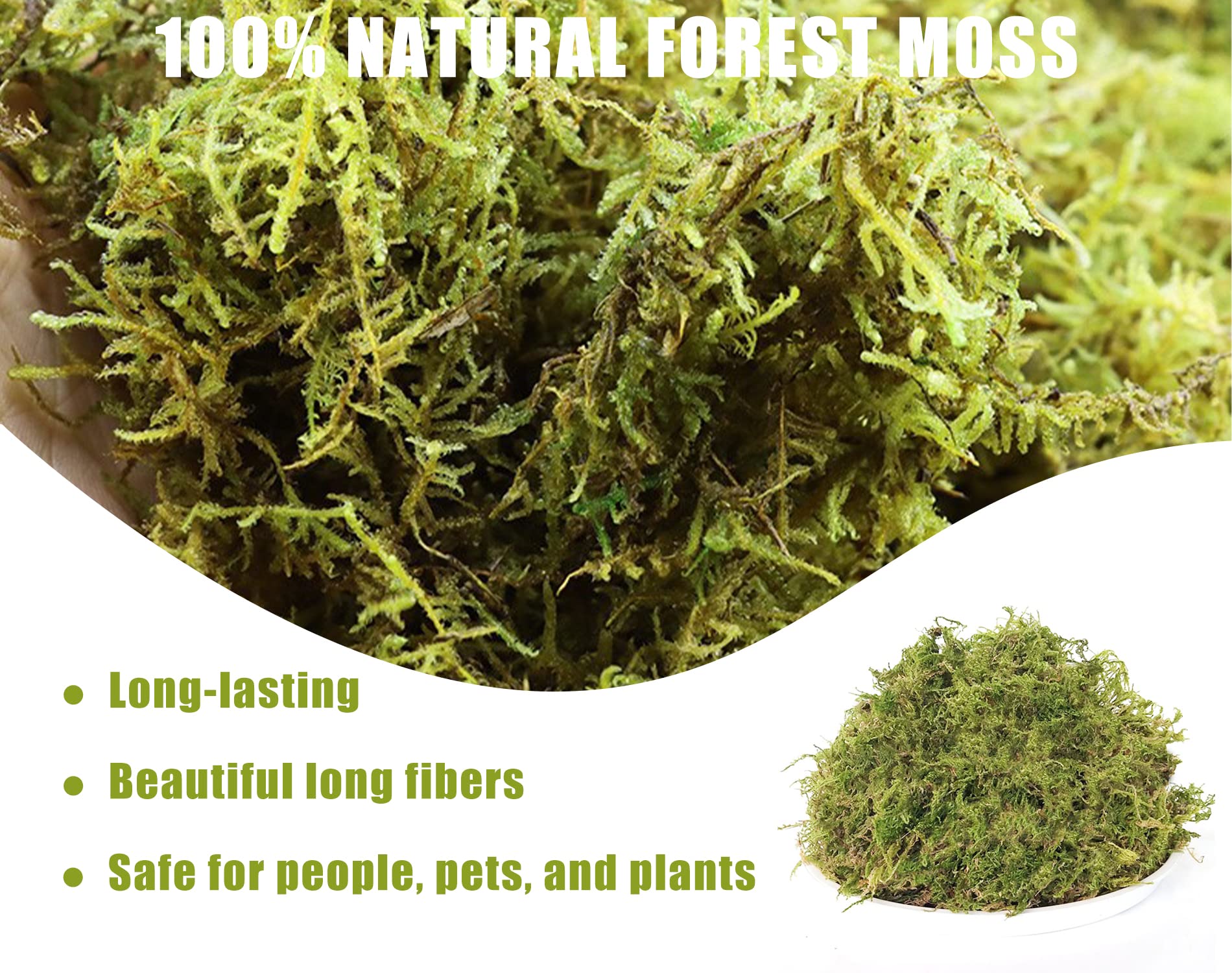 O-FarFarm Dried Forest Moss for Plants 5.3oz / 3qt, Green Orchid Sphagnum Moss, Long Fibered Dried Moss for Succulents Garden Flowers Pot and Reptiles