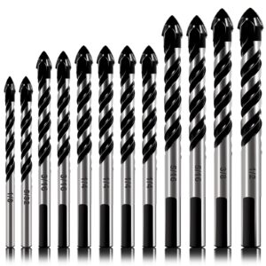 12-PCS Masonry Drill Bit Set & Concrete Drill Bit Set, 1/8 to 1/2 inch Professional Carbide Drill Bits Tip for Glass, Tile, Brick, Cement Concrete Plastic Wood etc. Masonry Drill Bits Set by DYRECELVE