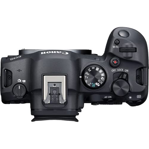 Canon EOS R6 Mark II Mirrorless Camera (5666C002) + 2 x 64GB Memory Card + Case + Corel Photo Software + 3 x LPE6 Battery + Charger + Card Reader + LED Light + More (INTL. Model) (Renewed)