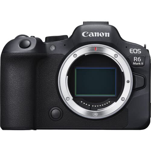 Canon EOS R6 Mark II Mirrorless Camera (5666C002) + 2 x 64GB Memory Card + Case + Corel Photo Software + 3 x LPE6 Battery + Charger + Card Reader + LED Light + More (INTL. Model) (Renewed)