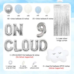 Fangleland On Cloud 9 Birthday Decorations for Girls, Baby Blue Balloons Garland Kit Fringe Curtains for Nine Year Old Girl, Bride On Cloud 9 Balloons for 9th Birthday Party Supplies