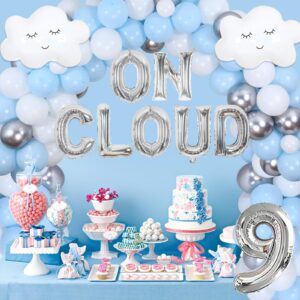 Fangleland On Cloud 9 Birthday Decorations for Girls, Baby Blue Balloons Garland Kit Fringe Curtains for Nine Year Old Girl, Bride On Cloud 9 Balloons for 9th Birthday Party Supplies