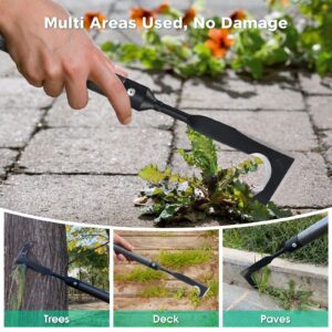 Lilyvane Crack Weeder, Manual Crevice Weeding Tool Weed Puller with 29” Handle for Sidewalk Paver Deck Boards, Crack Weeder Crevice Weeding Tool Metal Handle