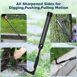 Lilyvane Crack Weeder, Manual Crevice Weeding Tool Weed Puller with 29” Handle for Sidewalk Paver Deck Boards, Crack Weeder Crevice Weeding Tool Metal Handle