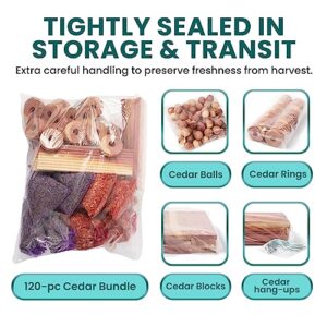 12 Cedar Blocks - Cedar Blocks for Clothes Storage & Closet Set - Cedar Planks & Balls for Clothes Storage - Drawer Freshener for Clothes with Cedar Rings for Hangers - Cedar Wood Chips for Clothes