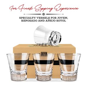 Sotol and Tequila Sipping Glasses | Tequila Glassware Collection | Set of 4 | 6 oz Professional Sippers for Drinking Joven, Reposado, Anejo Sotols | Stemless Heavy Based Liquor Snifters