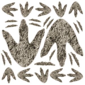 90pcs dinosaur footprints for floor dinosaur decor, realistic dinosaur footprints wall decals for kids classroom dinosaur party decoration school playroom baby nursery bedroom home（3 sizes)