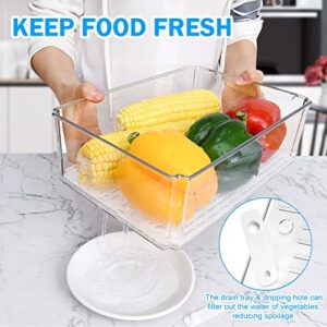 Pomeat 14 Pack Fridge Organizer with Lid, Stackable Refrigerator Organizer Bins, BPA-Free Fridge Organizers and Storage Clear, Fruit Storage Containers for Fridge, Kitchen, Food, Produce, Vegetable