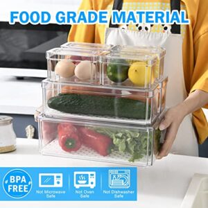 Pomeat 14 Pack Fridge Organizer with Lid, Stackable Refrigerator Organizer Bins, BPA-Free Fridge Organizers and Storage Clear, Fruit Storage Containers for Fridge, Kitchen, Food, Produce, Vegetable