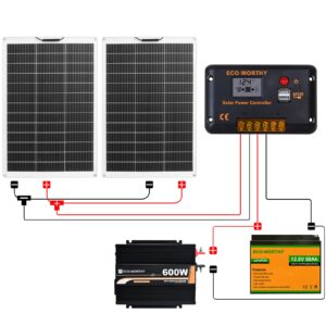 ECO-WORTHY 260 Watt 12V Flexible Complete Solar Panel Starter Kit for RV Off Grid with Battery and Inverter: 2pcs 130W Solar Panel + 30A Charge Controller + 50Ah Lithium Battery + 600W Solar Inverter