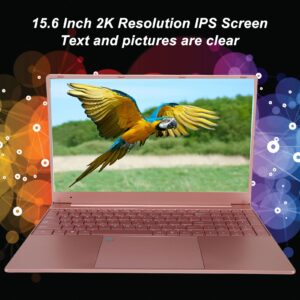 Tangxi 15.6in WIN10 Laptop,2K IPS Screen 2.4G 5G WiFi Laptop Computers with Fingerprint Unlock,Backlight Keyboard,12GB RAM 1TB ROM,7000mAh Battery,Rose Gold