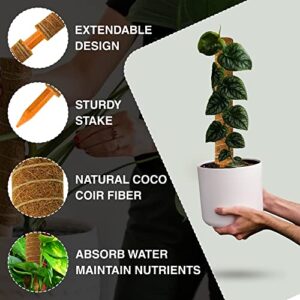 Moss Pole for Plants Monstera - 51.1” Stackable Plant Poles for Potted Plants Indoor and Outdoor (4 Pcs) – 16.9” Long Natural Coir Moss Sticks with Garden Twist Ties and Jute Rope