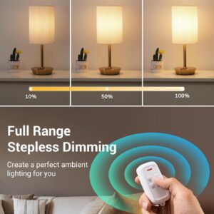 DEWENWILS Remote Control Light Socket with Dimmer, Wireless Light Switch, Dimmable Remote Light Bulbs Socket Switch, 100FT, E26 E27 Base with Controller, No Wiring, for Closet, Basement, ETL Listed