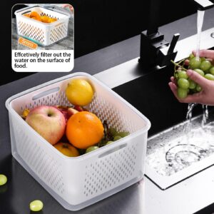 5 PCS Large Fruit Containers for Fridge - Stackable Airtight Food Storage Containers with Removable Colander - Dishwasher & microwave safe Produce Containers Keep Fruits,Berry, Vegetables, Fresh longe