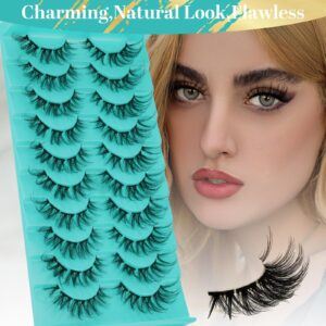 AMZGlRL LASH Diy Lash Clusters 10 Pairs Eyelash Clusters Wispy Lash That Look Like Extensions 3d False Eyelashes Natural Soft Fluffy Mink Individual Cluster Lashes (Lowkey)