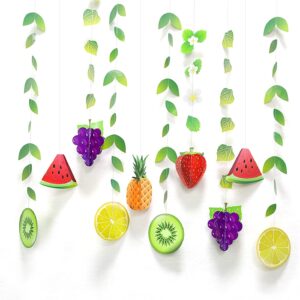 12 Strings Fruit Garlands for Kids Birthday Party Decorations Fruit Birthday Banner for Holiday Luau Tropical Theme Party Supplies Baby Shower Decorations