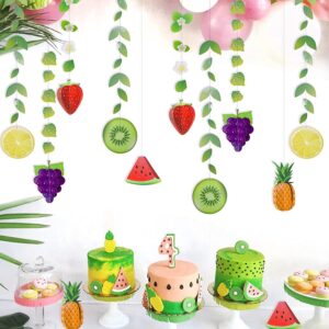 12 Strings Fruit Garlands for Kids Birthday Party Decorations Fruit Birthday Banner for Holiday Luau Tropical Theme Party Supplies Baby Shower Decorations