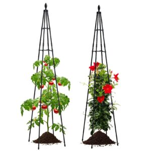 FOLLOOK Garden Trellis for Climbing Plants Outdoor, 64" Tall Plant Trellis with 4-Tier Adjustable Stake Arms - Outdoor Indoor Potted Plant Support for Vine, Vegetable, Obelisk Trellis, Black, 2 Pack