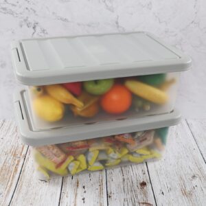 Yesdate Clear Storage Bin with Lid, Plastic Stackable Container Organizer, Medium-14 Quart, Grey, 2 Pack