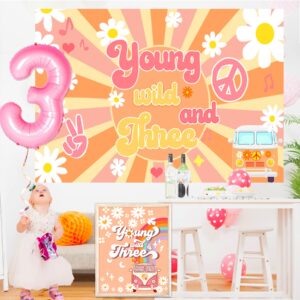 Young Wild and Three Decorations Girl, Three Groovy Birthday Party Decorations,Balloons, Backdrop Cake Topper, Sunglasses for Groovy Birthday Party Decorations, Hippie 3rd Birthday Party Decorations