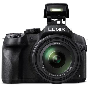 Panasonic Lumix DMC-FZ300 Digital Camera (DMC-FZ300K) - Bundle - with 64GB Memory Card + DMW-BLC12 Battery + Digital Flash + Soft Bag + 12" Flexible Tripod + 52mm UV Filter + More (Renewed)