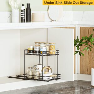 ESOW Pull Out Cabinet Organizer with 2 Tier, Heavy Duty Under Sink Slide Out Storage Shelf with Wooden Handle in Kitchen, Bathroom, Pantry, 12.79" W x16.5 D x16.14 H, SUS304 Matte Black