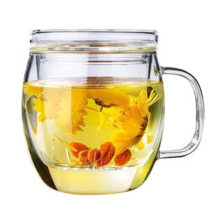 bunhut glass tea cup with infuser and lid,500ml (17oz) borosilicate glass tea mugs for loose leaf tea,glass tea cups with filter for black tea,great loose tea-leaf brewing system