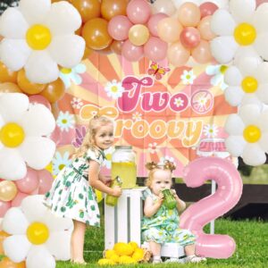 Tsoifu 120Pcs Two Groovy Party Decorations for Girl 2nd Birthday Daisy Party Decorations Daisy Backdrop Tablecloth and Balloon Garland Kit