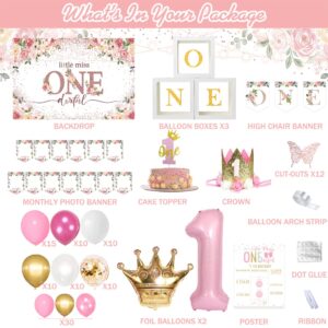 125 PCs First Birthday Decorations for Girl, Fiesec Little Miss Onederful 1st Birthday Party Decorations Backdrop Balloon Garland Monthly Photo Highchair Banner Box Cutout Cake Topper Crown Poster