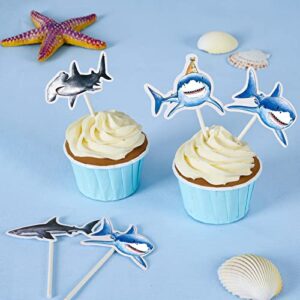 WERNNSAI Shark Cupcake Toppers - 36 PCS Shark Party Cake Toppers for Kids Boys Ocean Shark Themed Party Birthday Shark Cupcake Decorations Baby Shower Beach Party Supplies