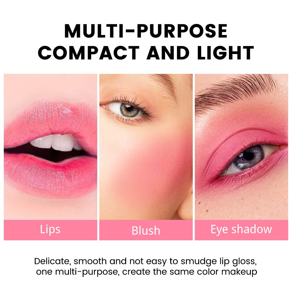 evpct 4Pcs Apple Strawberry Watermelon Cherry Korean Water Pink Red Lip Tint Lip Inks Stain Set for Lips Cheeks Long Wear tintas de labios tinte para labios tinta de labios de larga duracion duración