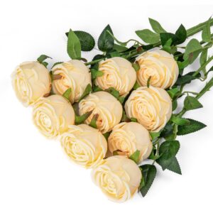 Coferset Princess Silk Rose Flowers Long Stem Artificial Melaleuca Rose Flower for Home Wedding Decor, Pack of 10 (Light Champagne)