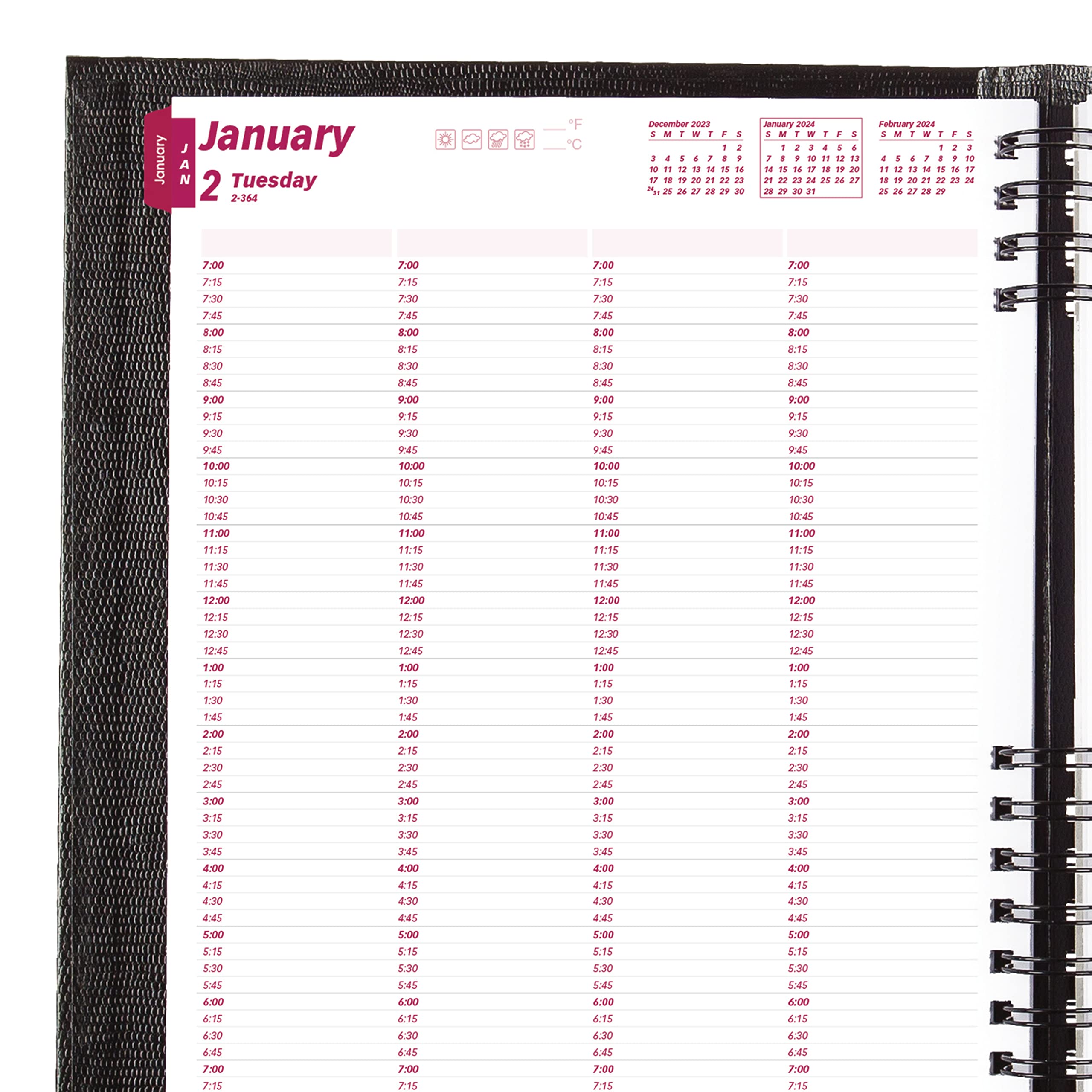 Brownline 2024 CoilPro Daily Professional Planner, Four-Person Appointment Book, 12 Months, January to December, Twin-Wire Binding, 11" x 8.5", Black (CB960C.BLK-24)