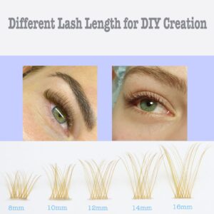 Brown Lash Clusters Blonde Lash Extension 96pcs Light Brown Cluster Lashes D Curl 8-16mm Wispy Individual Lashes With Clear Lash Band Eyelash Extension Clusters By DAODER(Brown Lash Cluster 007)