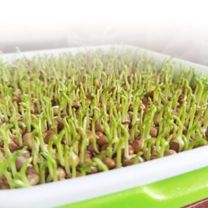 SDLDEER Seed Sprouting Tray, 5 Packs Microgreens Growing Trays Big Capacity Sprouts Growing Kit Soil-Free Sprouter Tray for Sprouting Seeds, Beans, Wheatgrass