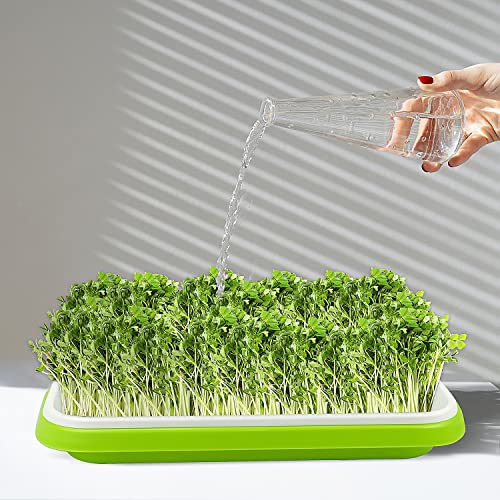 SDLDEER Seed Sprouting Tray, 5 Packs Microgreens Growing Trays Big Capacity Sprouts Growing Kit Soil-Free Sprouter Tray for Sprouting Seeds, Beans, Wheatgrass