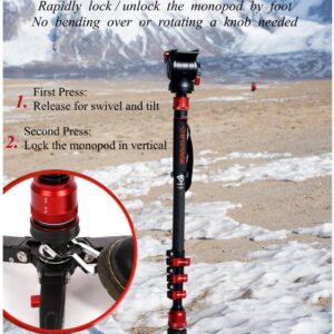 IFOOTAGE Cobra 3 Monopod C180F-P with K5S Fluid Head, Professional Portable Travel Monopod Kit for Canon Nikon Sony Olympus Panasonic DSLR Camera