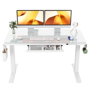 ErGear Dual Motor Electric Standing Desk with Drawers,48x24 Inch Whole-Piece Glass Desktop Quick Install,Height Adjustable Stand up Sit Stand Home Office Ergonomic Workstation with USB Charging Ports