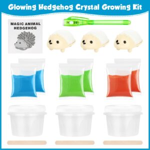 sdaymol Glowing Crystal Growing Kit,Science Kits for Kids Age 8-12,DIY Science Experiments Lab Learning & Educational Toys,STEM Projects Toys Gifts for Boys & Girls Ages 8 9 10 12