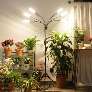 Aukphie Grow Lights for Indoor Plants, Full Spectrum led Grow Light with Stand, Auto On/Off Timing 1-19H & 11 Brightness Levels, Plant Light for Indoor Plants with 6 Light Heads.