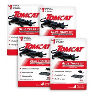 tomcat mouse trap with immediate grip glue for mice, cockroaches, and spiders, ready-to-use, 4-pack (16 glue traps)