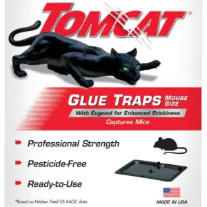 Tomcat Mouse Trap with Immediate Grip Glue for Mice, Cockroaches, and Spiders, Ready-to-Use, 4-Pack (16 Glue Traps)