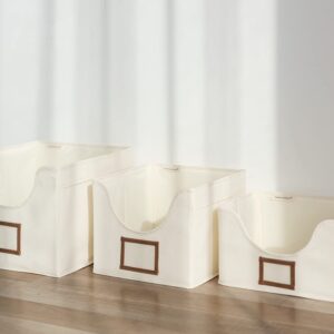 StorageWorks Closet Storage Bins and