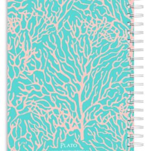 Seaside Currents | 2024 6 x 7.75 Inch 18 Months Weekly Desk Planner | Foil Stamped Cover | July 2023 - December 2024 | Plato | Planning Stationery