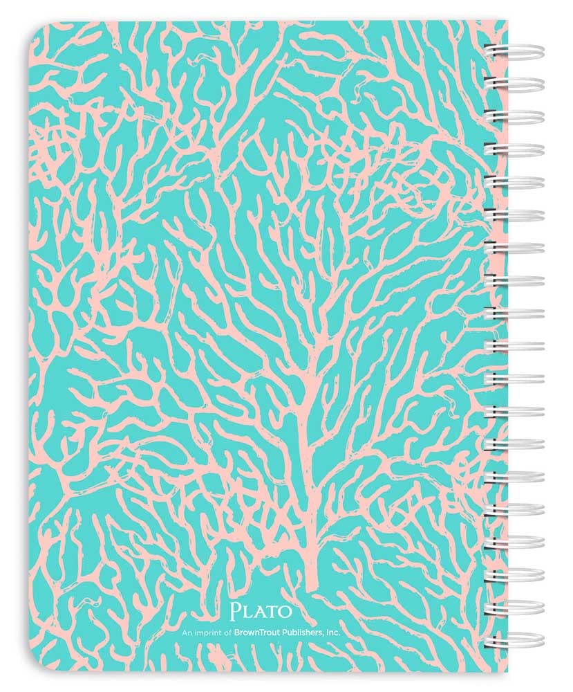 Seaside Currents | 2024 6 x 7.75 Inch 18 Months Weekly Desk Planner | Foil Stamped Cover | July 2023 - December 2024 | Plato | Planning Stationery