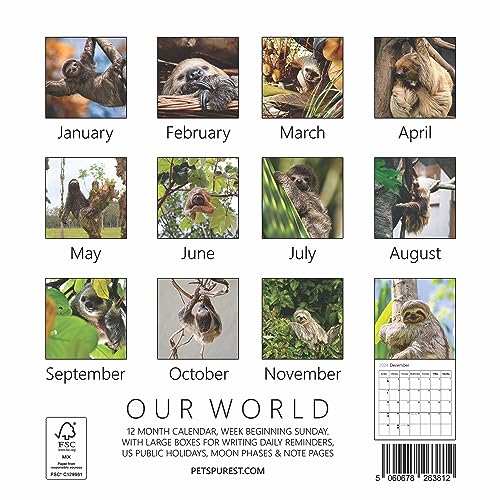 Our World Sloth Wall Calendar 2024 - Fun Family Planner & Daily Organizer with Monthly Cute Sloth Calendar Images - Slim Design 2024 Wall Planner - Great Gift for Animal Lovers