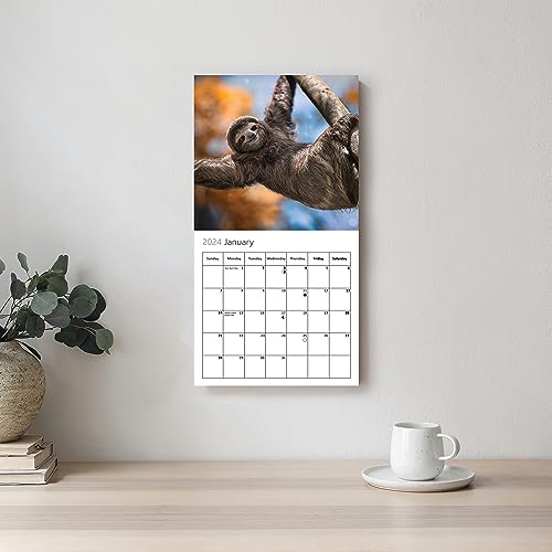Our World Sloth Wall Calendar 2024 - Fun Family Planner & Daily Organizer with Monthly Cute Sloth Calendar Images - Slim Design 2024 Wall Planner - Great Gift for Animal Lovers